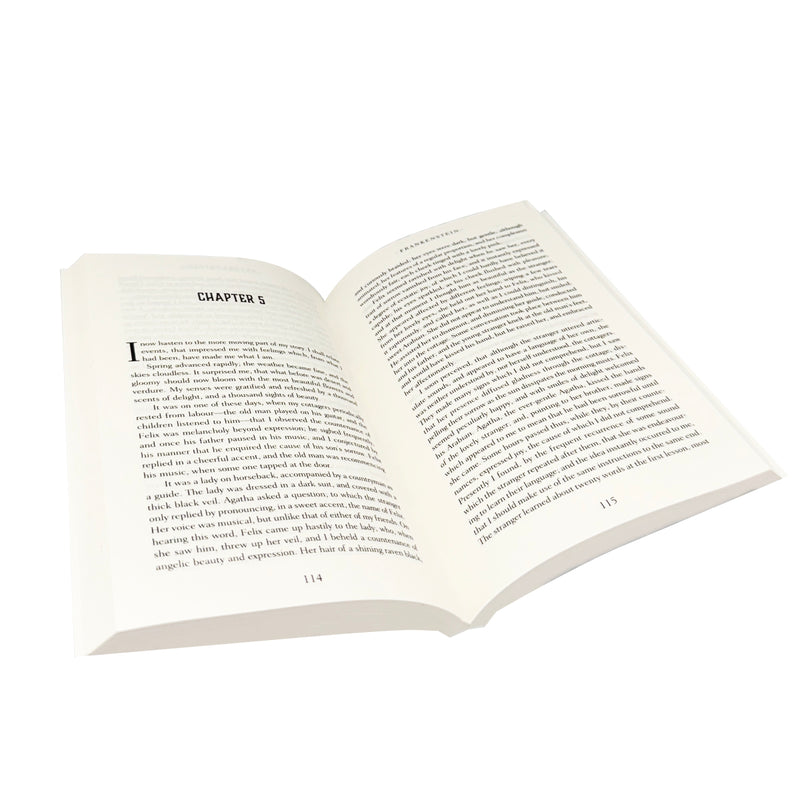 Load image into Gallery viewer, Frankenstein