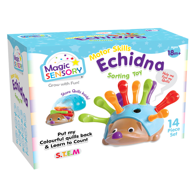 Load image into Gallery viewer, Fine Motor Skills Echidna