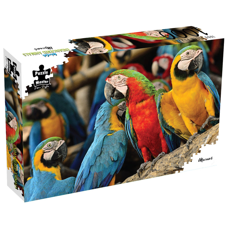 Load image into Gallery viewer, Macaws