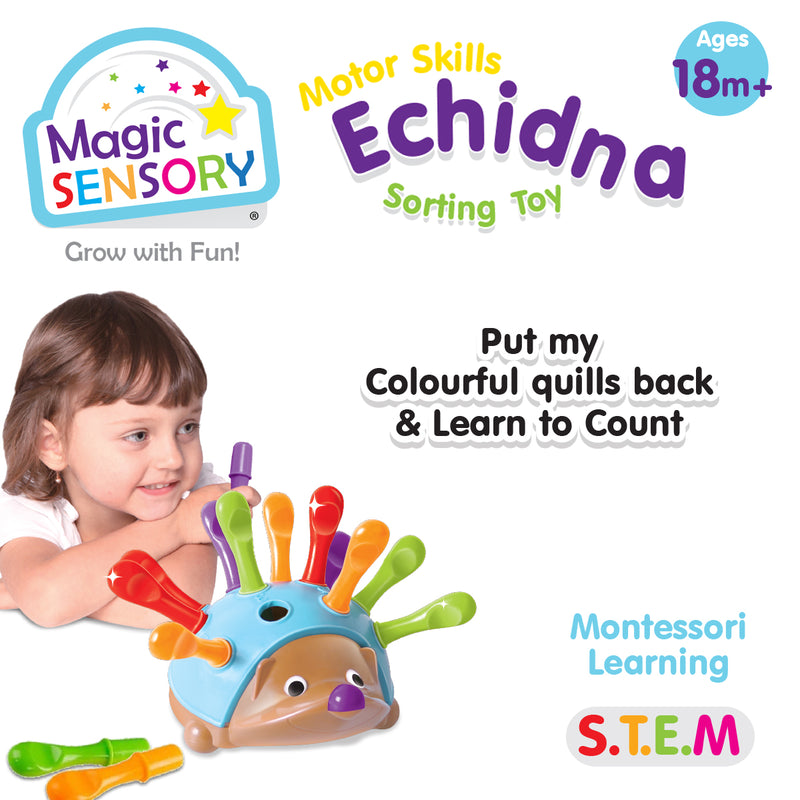 Load image into Gallery viewer, Fine Motor Skills Echidna
