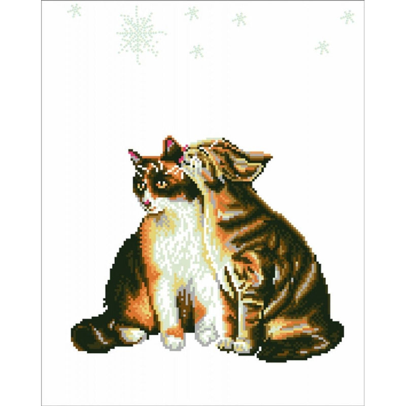 Load image into Gallery viewer, Stars and Whiskers