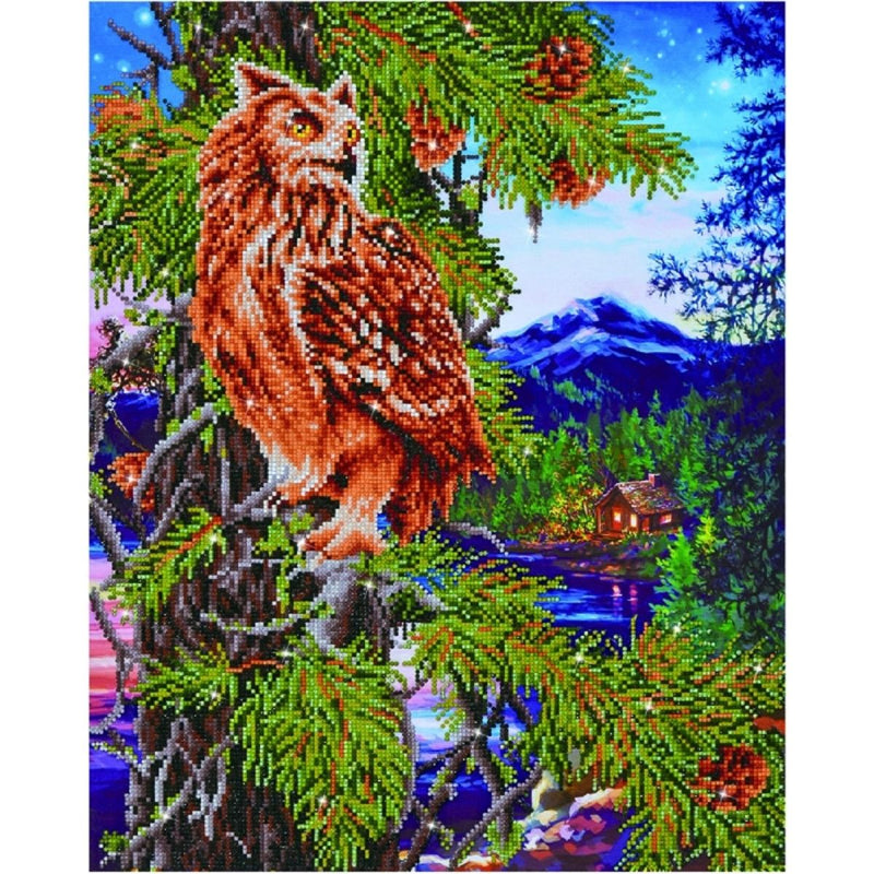 Load image into Gallery viewer, Twilight Wisdom