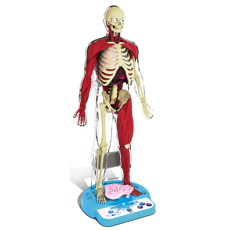 Load image into Gallery viewer, Ultimate Squishy Human Body Lab With SmartScan Technology
