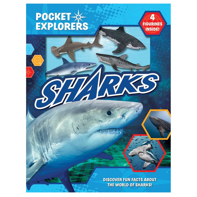 Load image into Gallery viewer, Pocket Explorers - Sharks
