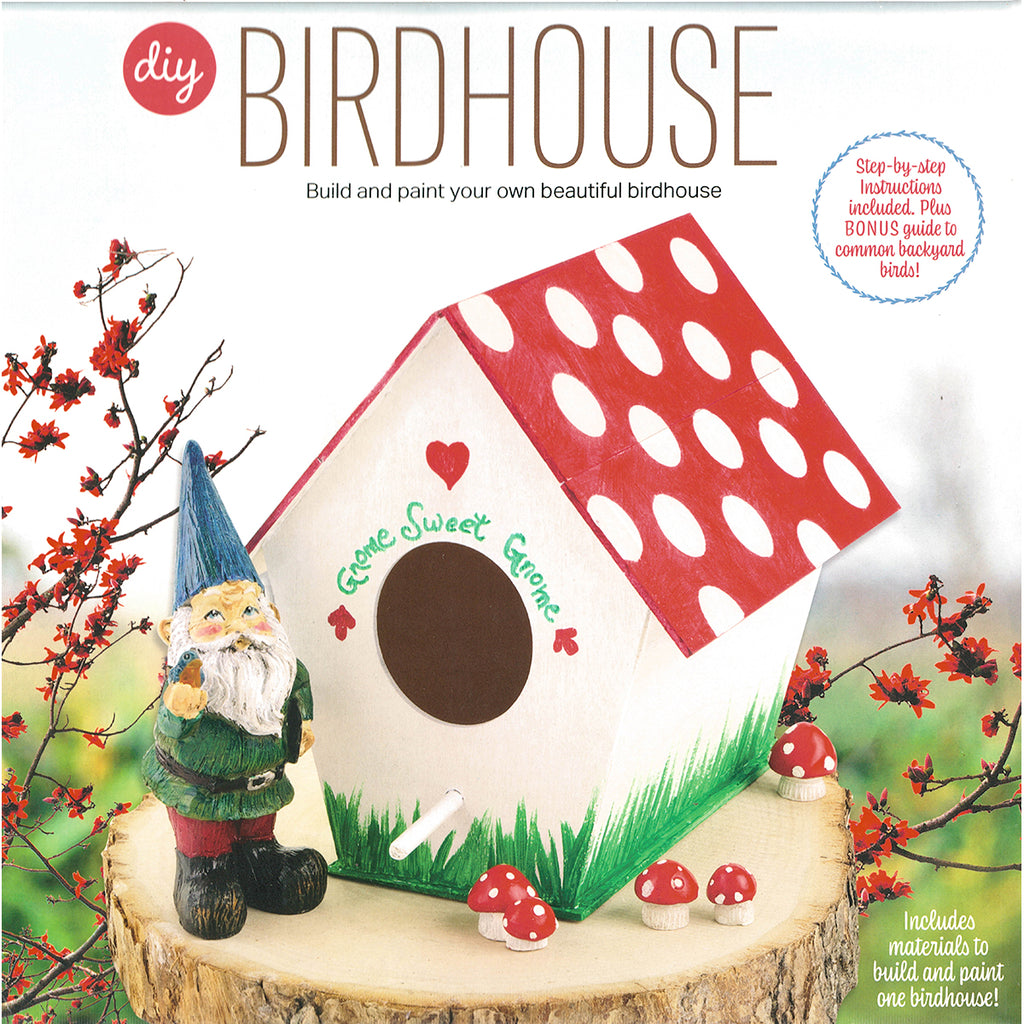 Build & Paint A Bird House