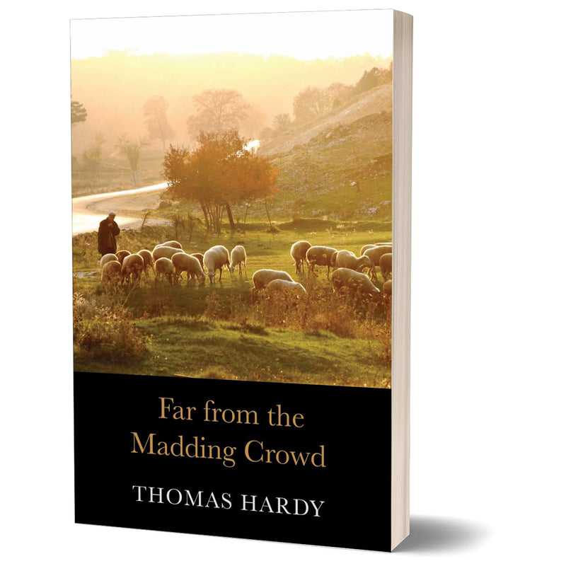 Load image into Gallery viewer, Novels of Thomas Hardy
