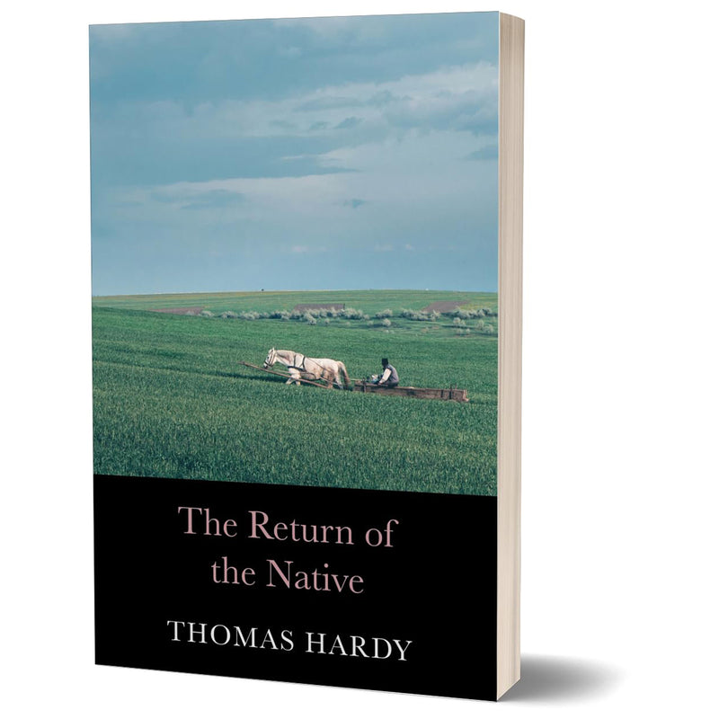 Load image into Gallery viewer, Novels of Thomas Hardy
