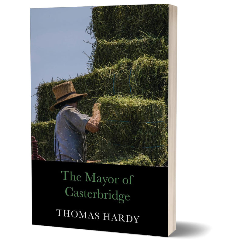 Load image into Gallery viewer, Novels of Thomas Hardy
