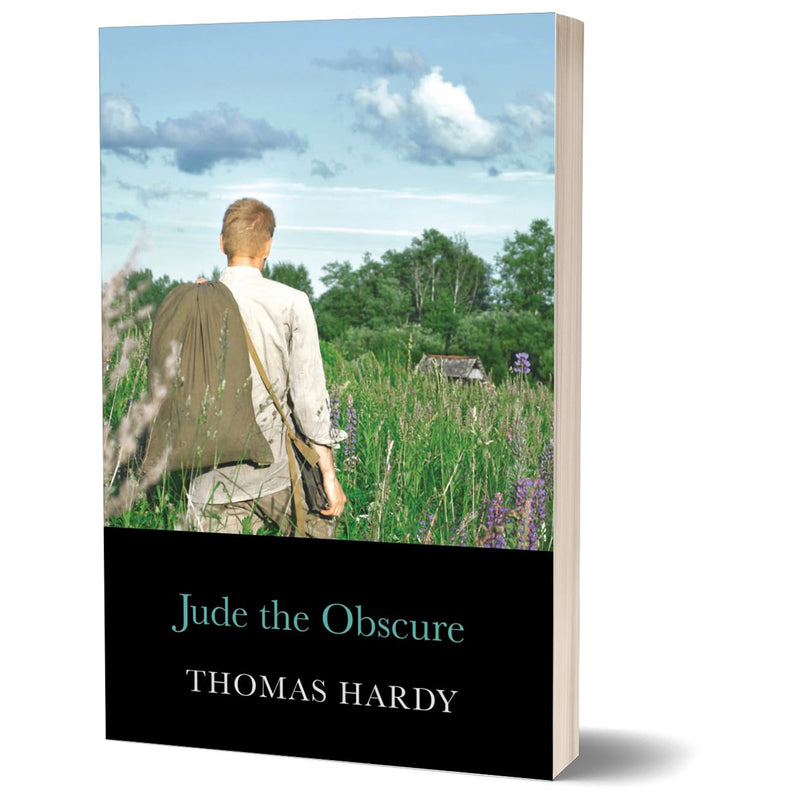 Load image into Gallery viewer, Novels of Thomas Hardy
