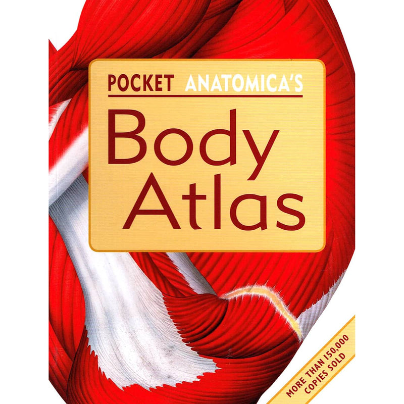 Load image into Gallery viewer, Pocket Anatonmica&#39;s Body Atlas
