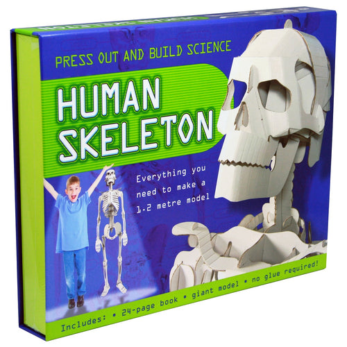 Press Out And Build - Human Skeleton