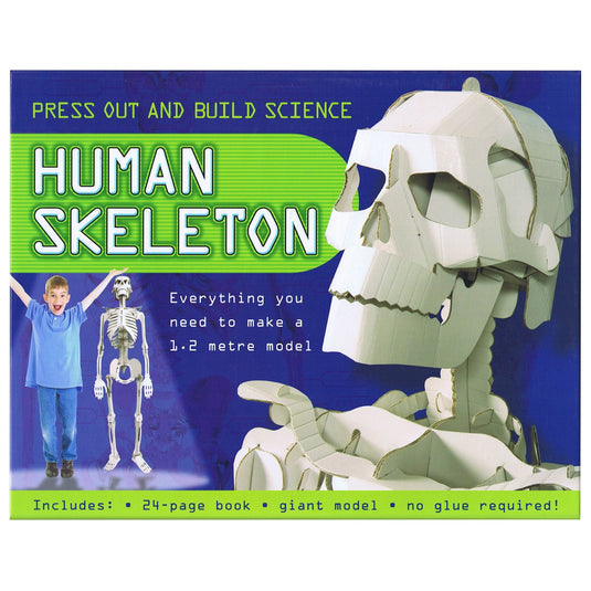 Press Out And Build - Human Skeleton