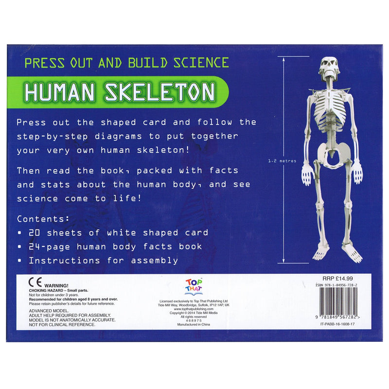 Load image into Gallery viewer, Press Out And Build - Human Skeleton
